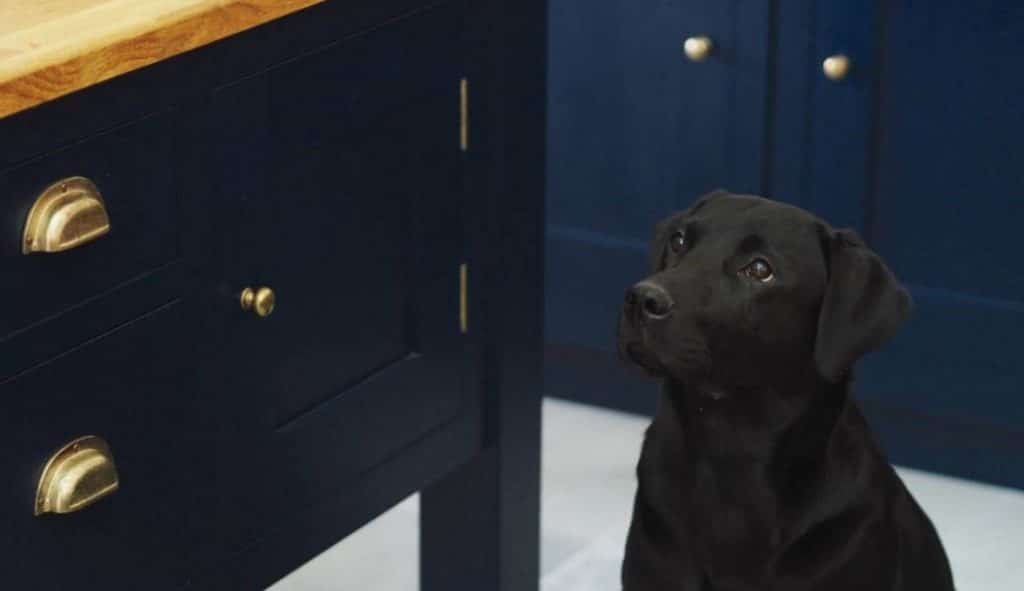 Closeup of deep blue kitchen island drawers with brass handles