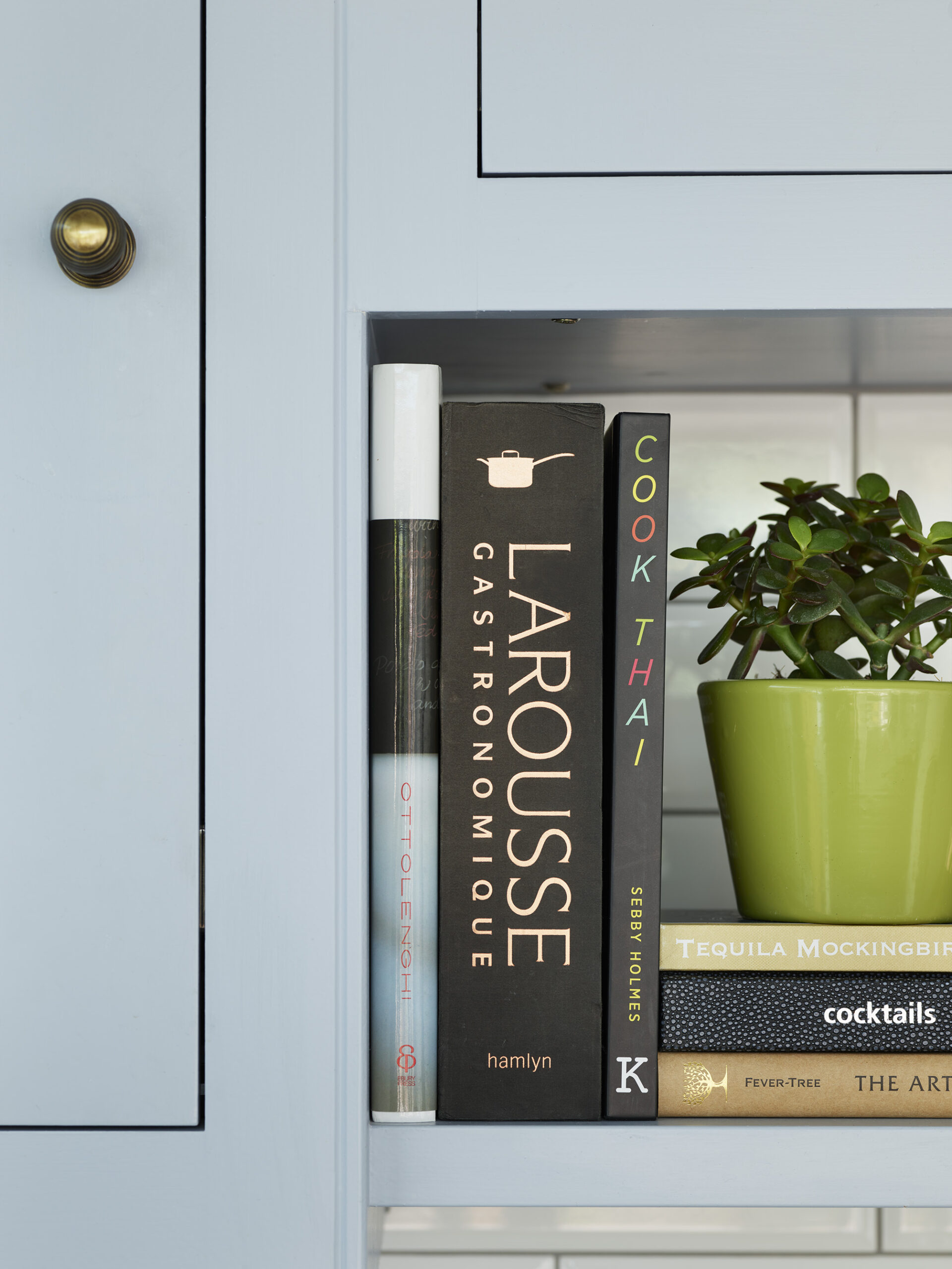Closeup of pale blue Shaker kitchen cupboard and book shelf