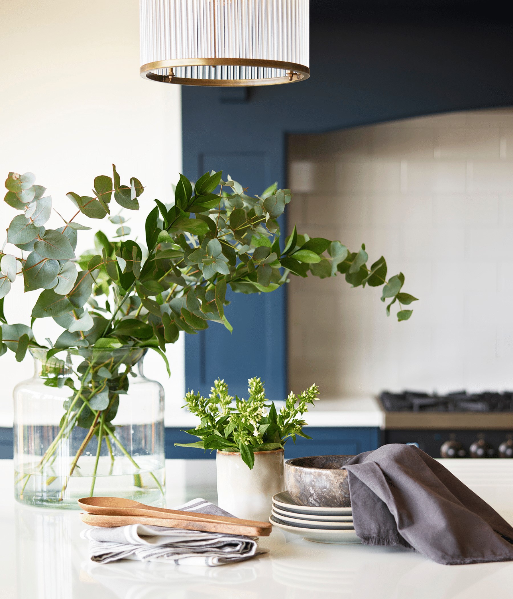 Lifetime quality represented by a potted plant on a white kitchen island