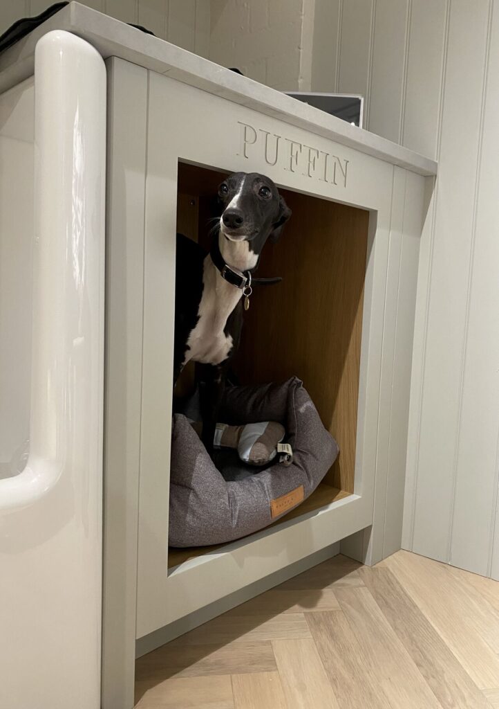 Bespoke dog bed zone in a boot room, with name engraving and a dog sitting inside