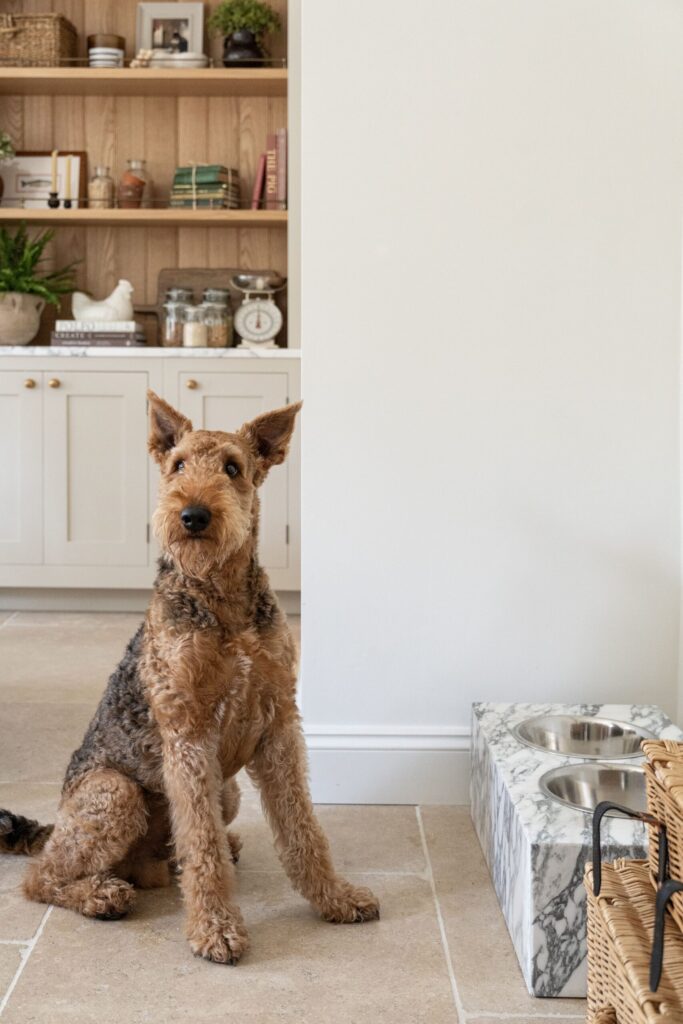 Small bespoke pet nook in a bespoke luxury kitchen featuring marble water bowl holder